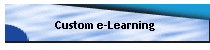 Custom e-Learning